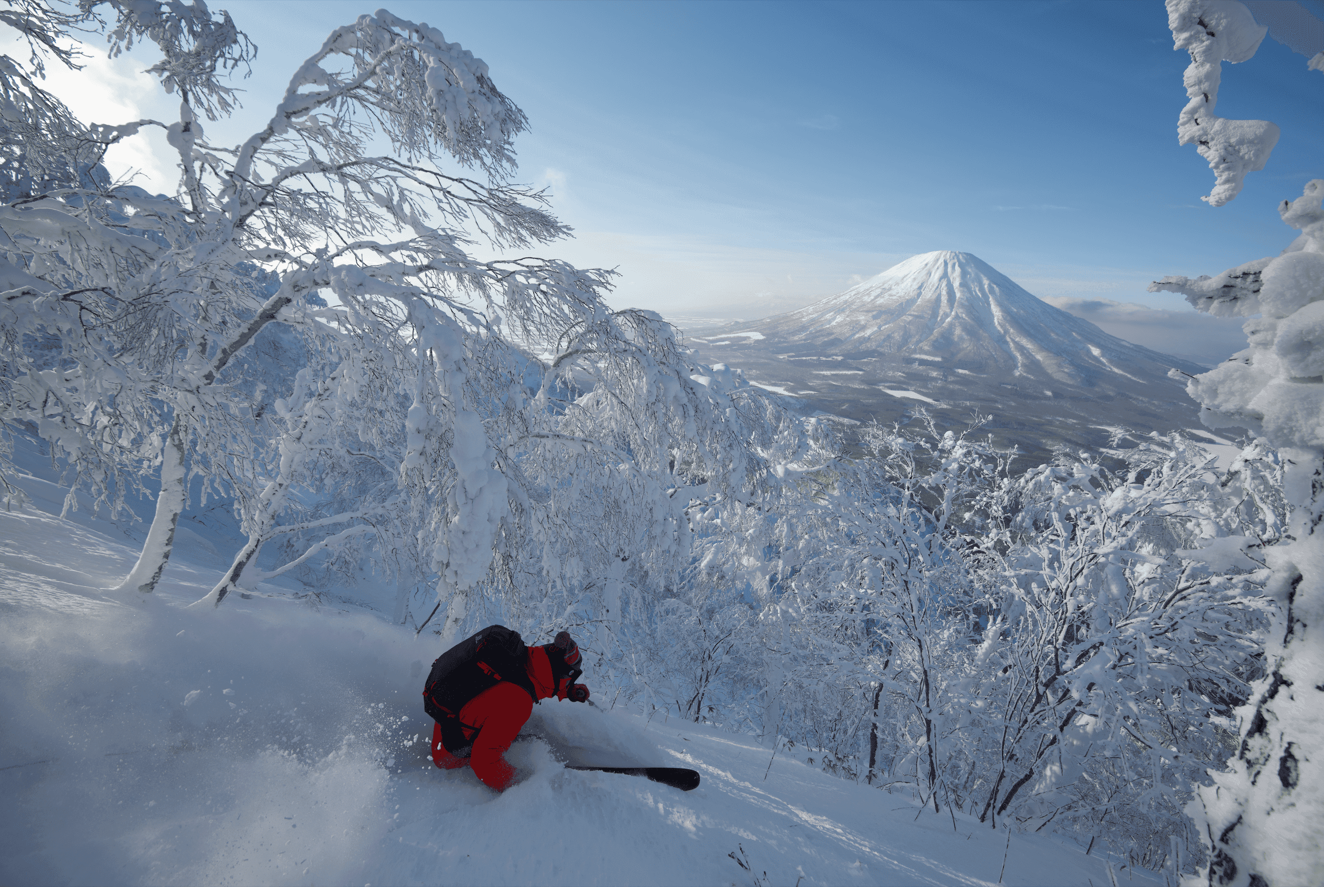 Skier in deep powder with mountain backdrop