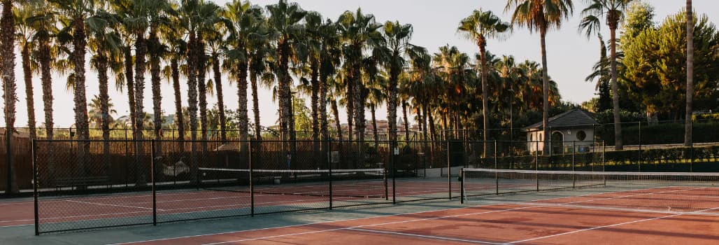Tennis court at sunset with palm trees